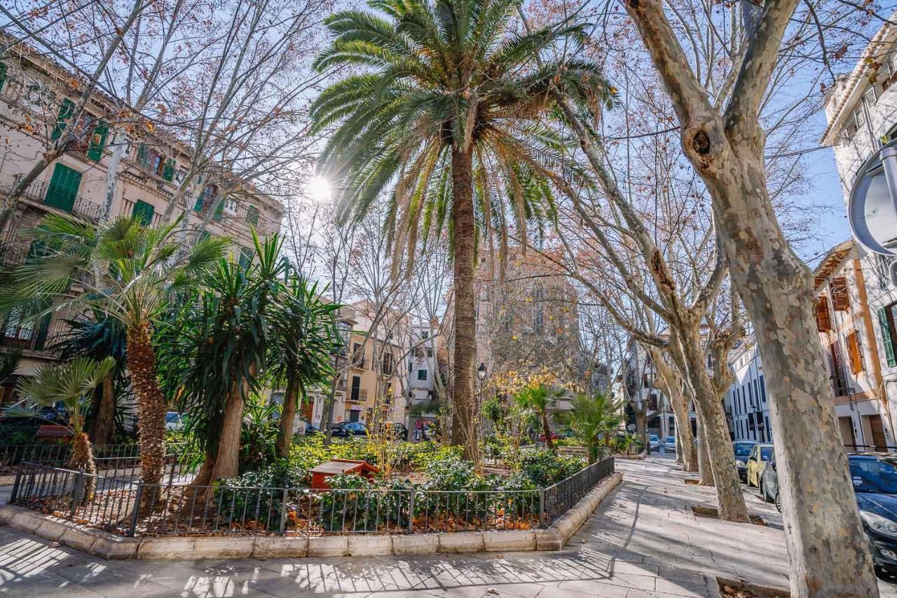 Apartament Vintage Palace Ti *